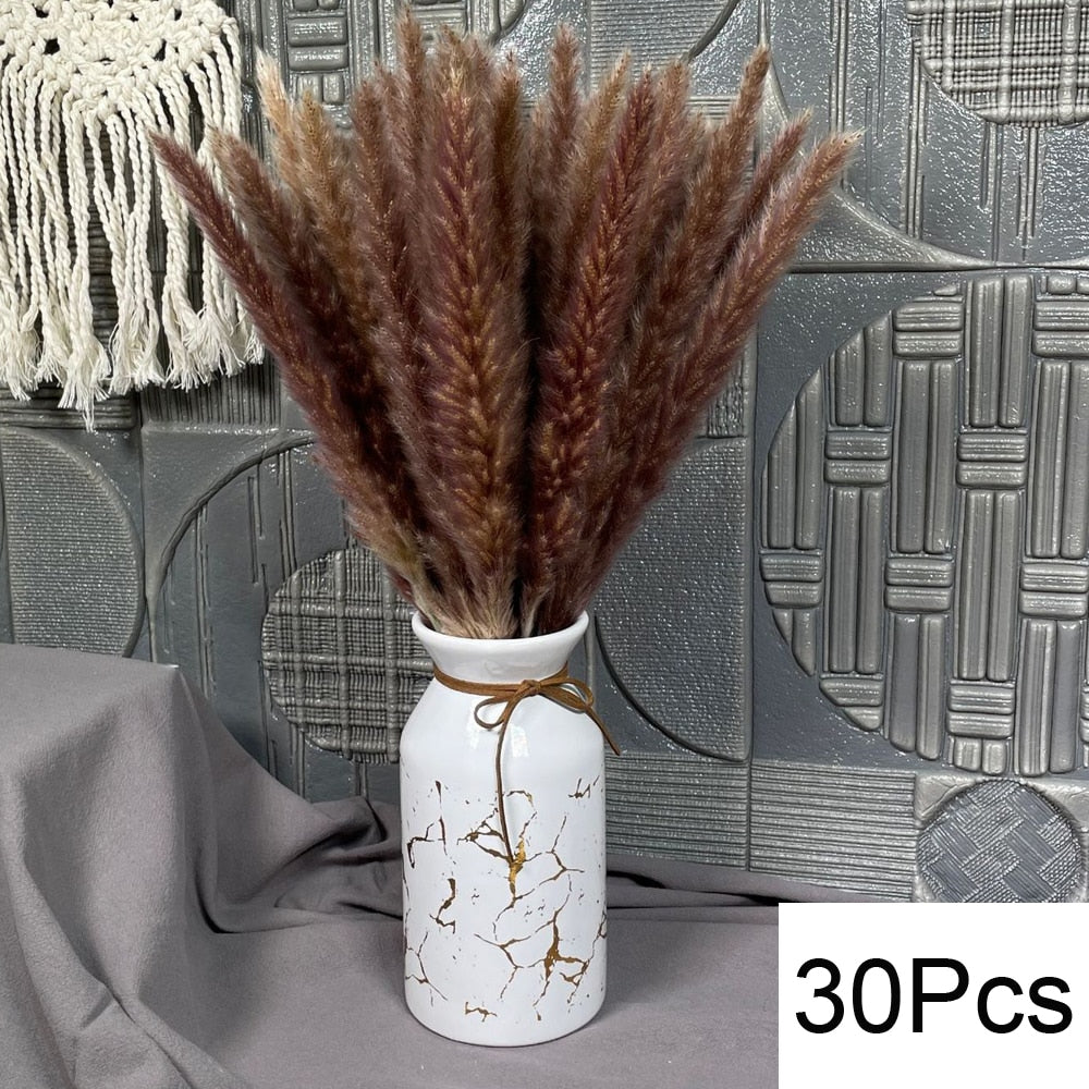 100Pcs Fluffy Pampas Dried Flowers Bouquet Home Decor Natural Bunny Rabbit Tail Grass Artifical Flower Wedding Party Decoration