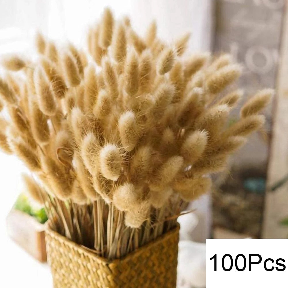 100Pcs Fluffy Pampas Dried Flowers Bouquet Home Decor Natural Bunny Rabbit Tail Grass Artifical Flower Wedding Party Decoration