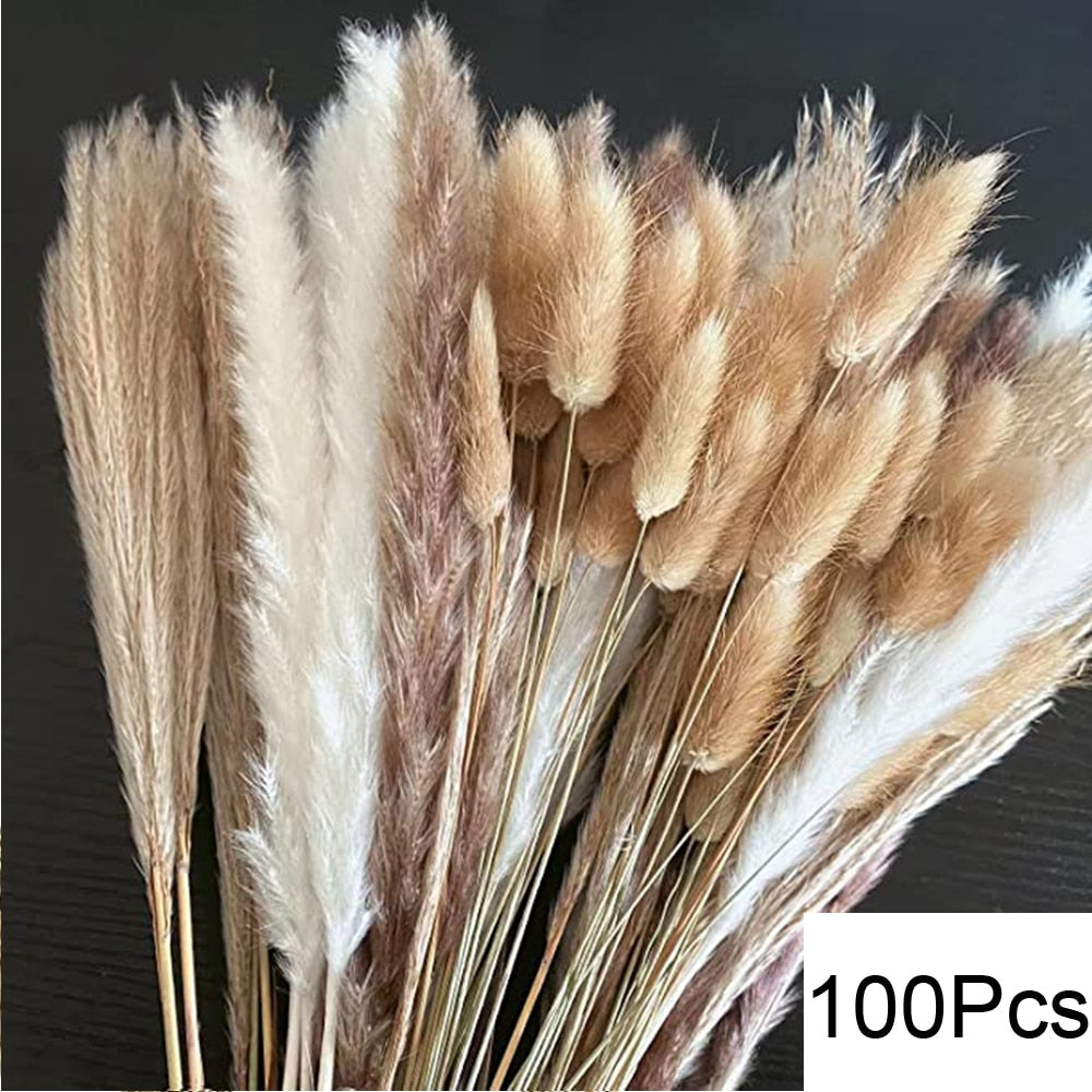 100Pcs Fluffy Pampas Dried Flowers Bouquet Home Decor Natural Bunny Rabbit Tail Grass Artifical Flower Wedding Party Decoration