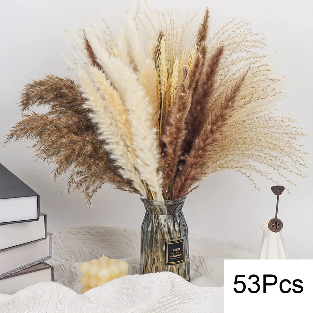 100Pcs Fluffy Pampas Dried Flowers Bouquet Home Decor Natural Bunny Rabbit Tail Grass Artifical Flower Wedding Party Decoration